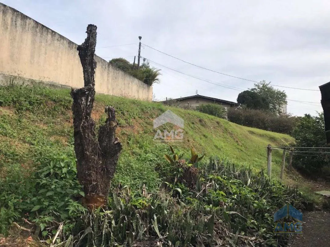 Terreno à venda, 735 m por R$ 550.000,00 - Velha - Blumenau/SC - foto 1