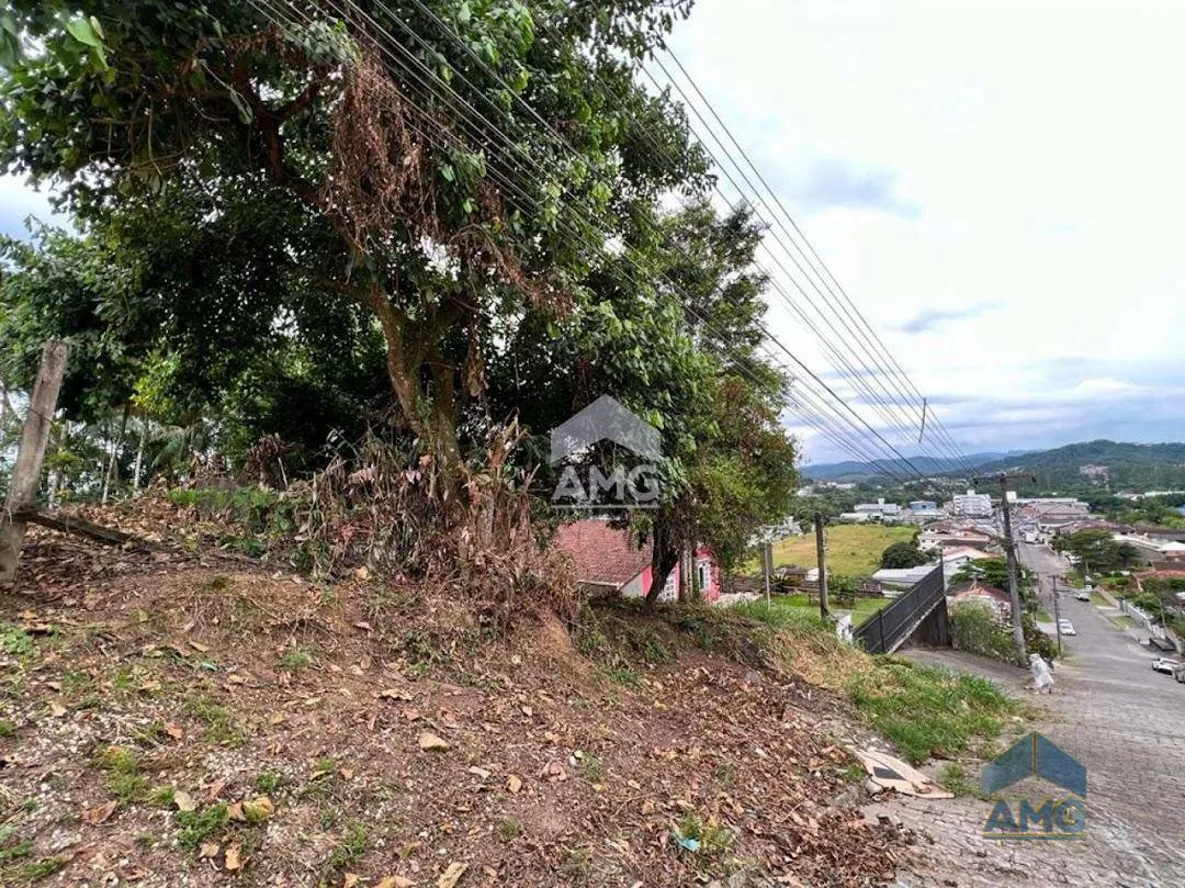 Terreno Residencial à venda, Itoupavazinha, Blumenau - TE0051. — foto 3