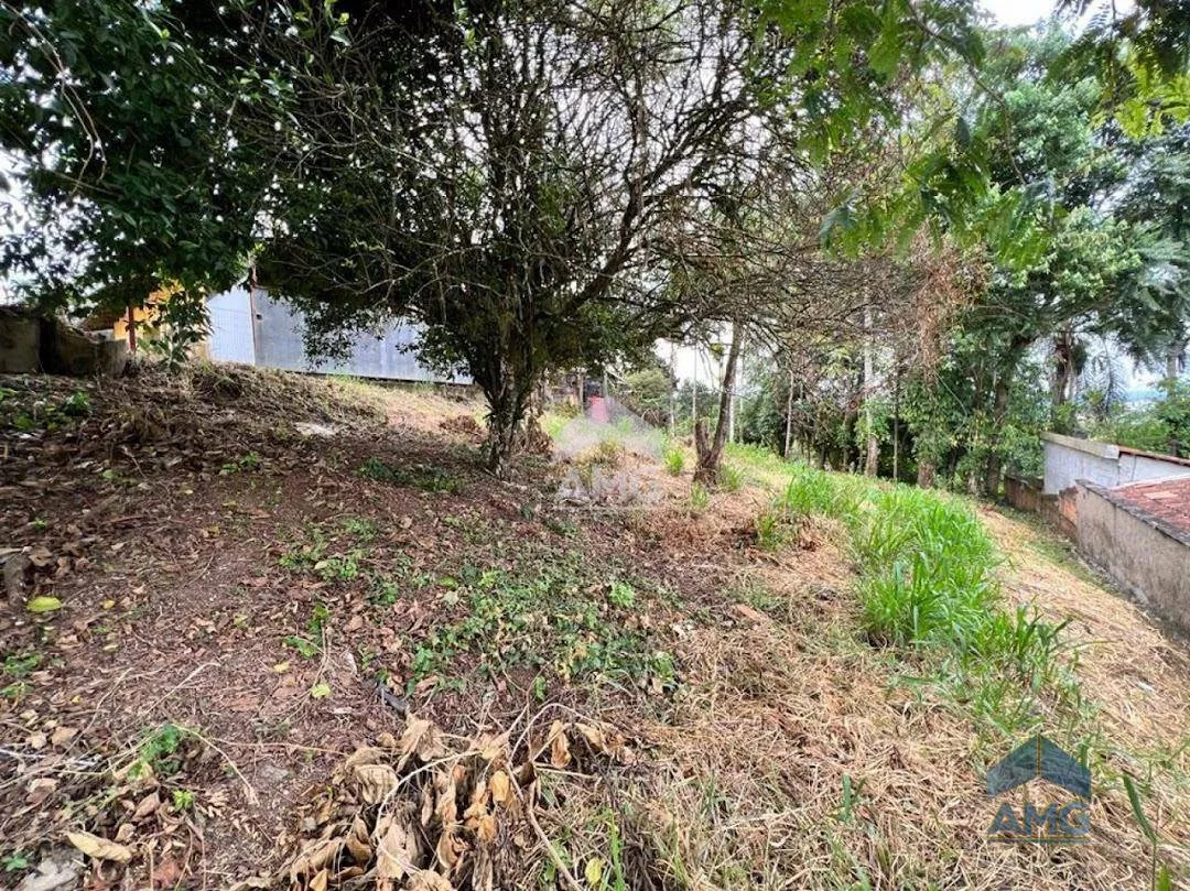 Terreno Residencial à venda, Itoupavazinha, Blumenau - TE0051. — foto 4