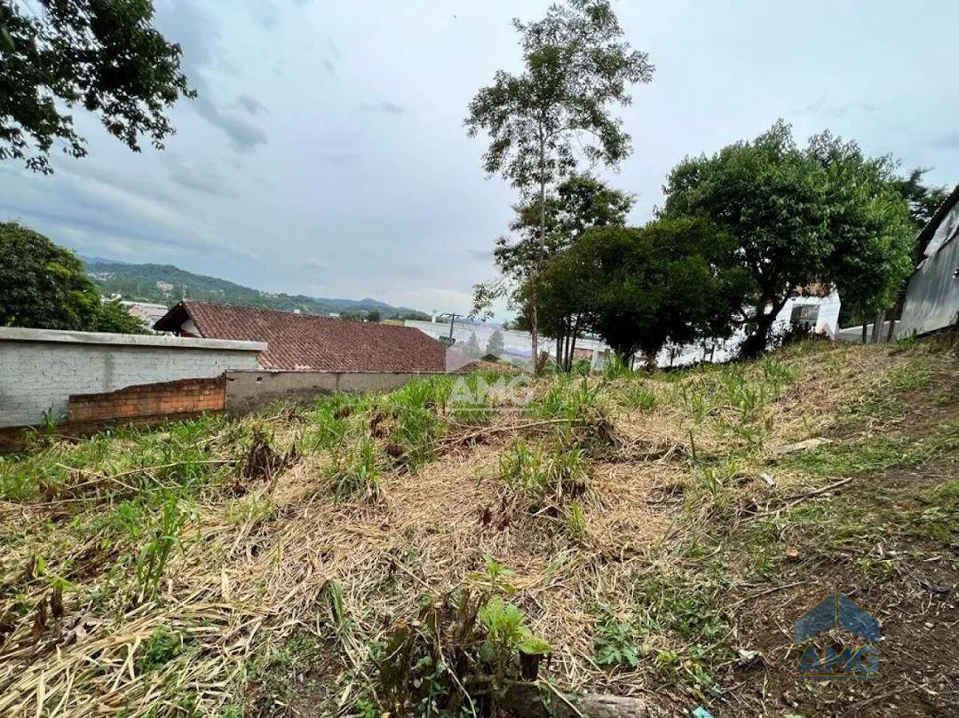 Terreno Residencial à venda, Itoupavazinha, Blumenau - TE0051. — foto 6