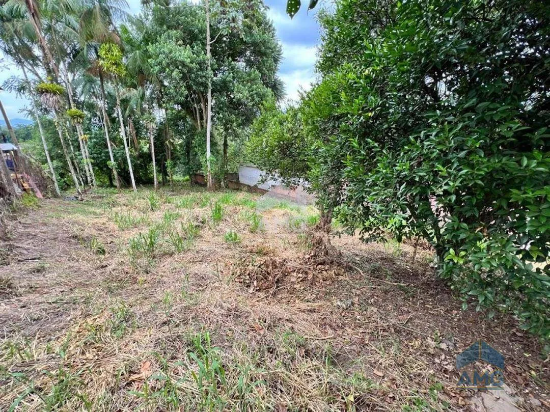 Terreno Residencial à venda, Itoupavazinha, Blumenau - TE0051. — foto 7