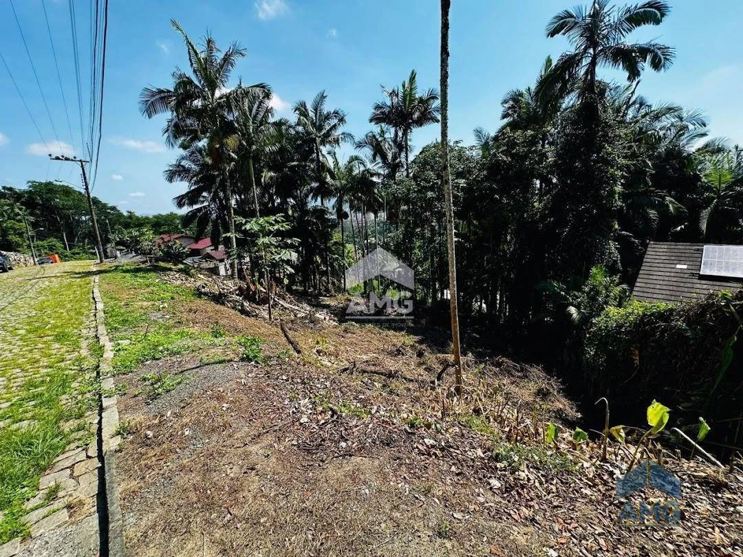 Terreno à venda, 910 m por R$ 760.000,00 - Itoupava Seca - Blumenau/SC — foto 3
