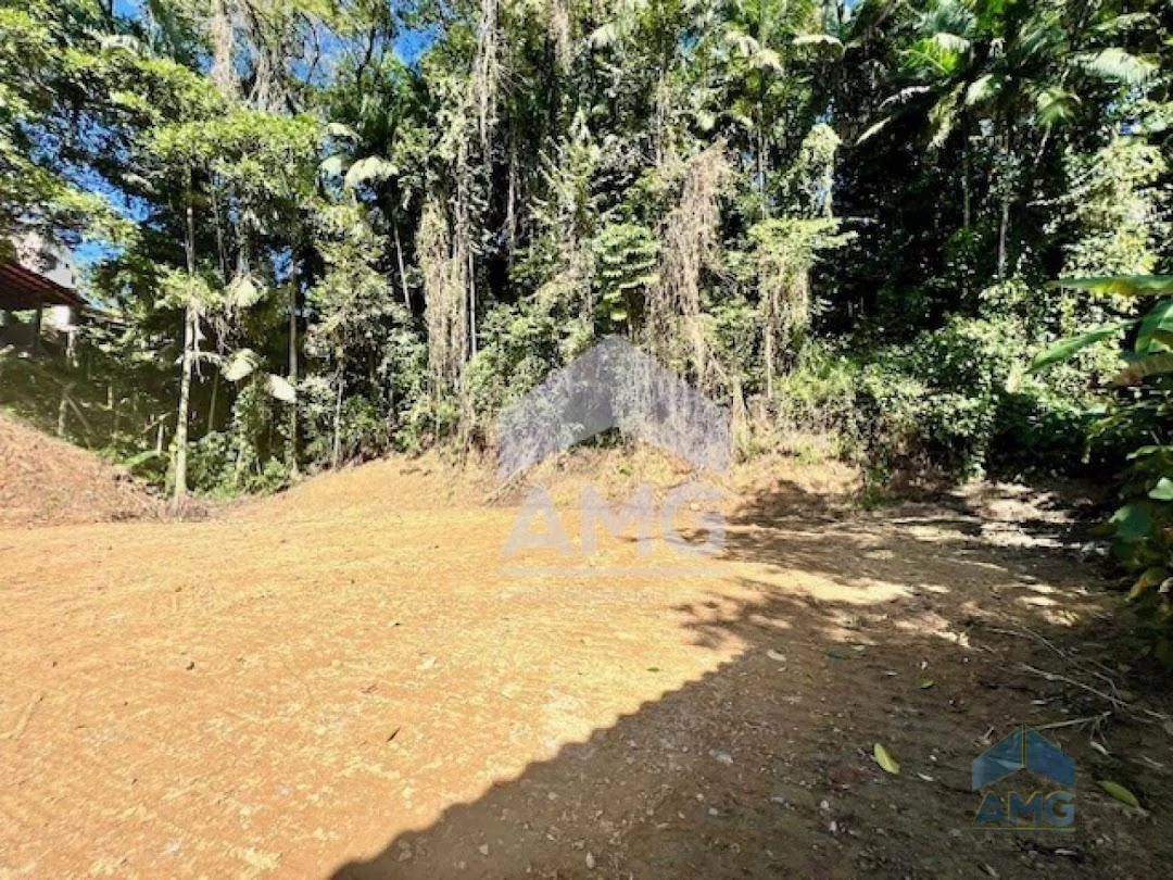 Terreno Residencial à venda, Velha, Blumenau - TE0010. — foto 6