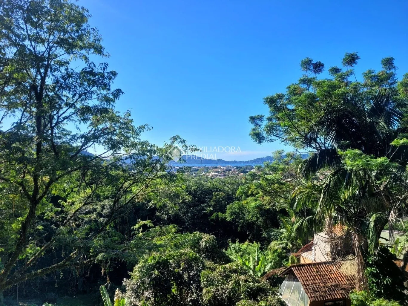 Imóvel — foto 4