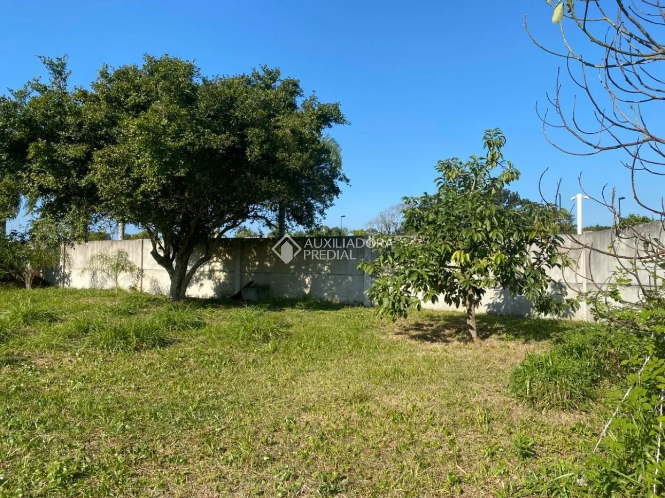 Imóvel — foto 7
