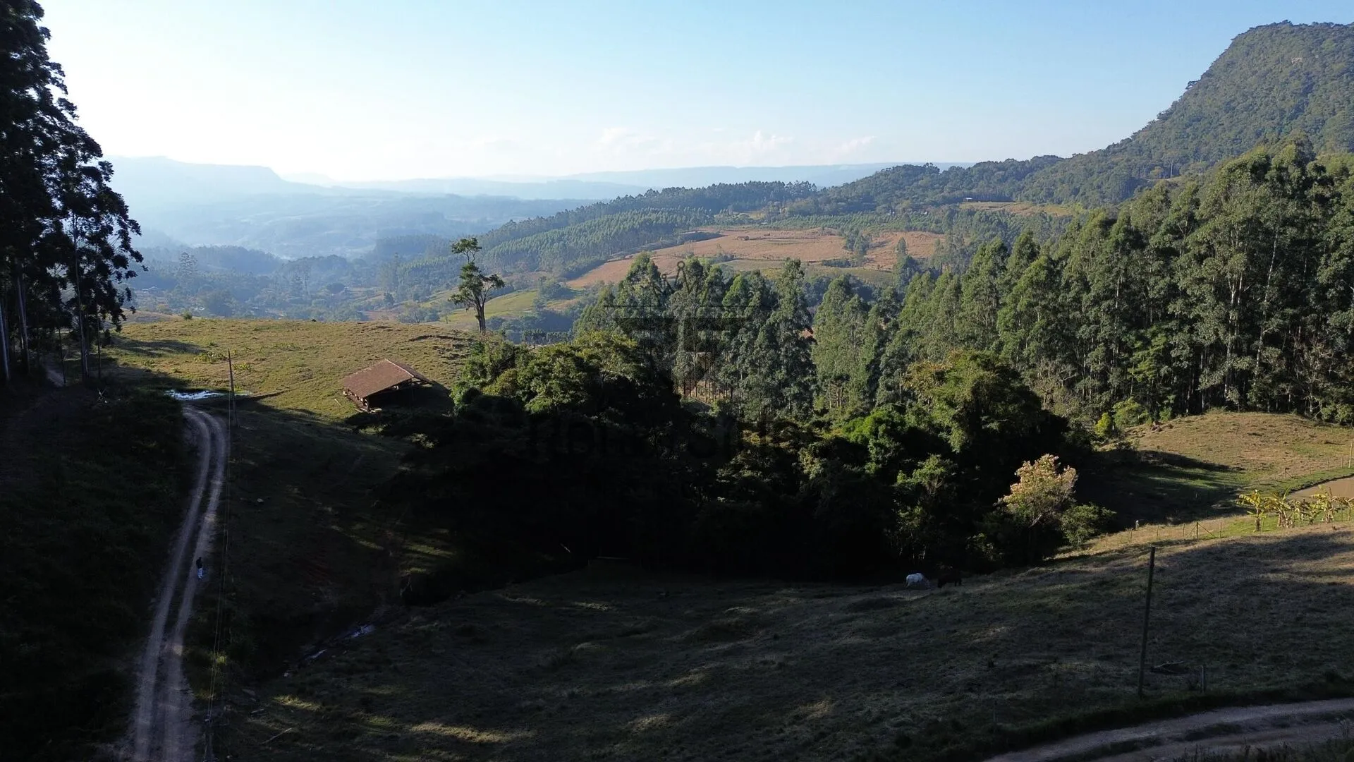 Terreno Rural para Chácara! — foto 3