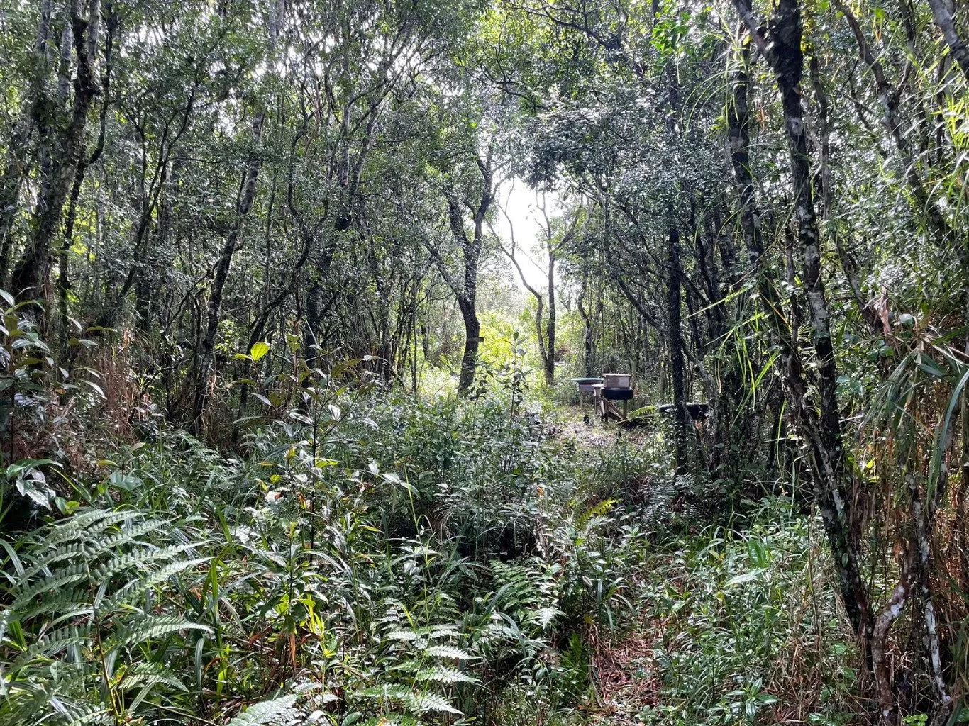 Imóvel — foto 5