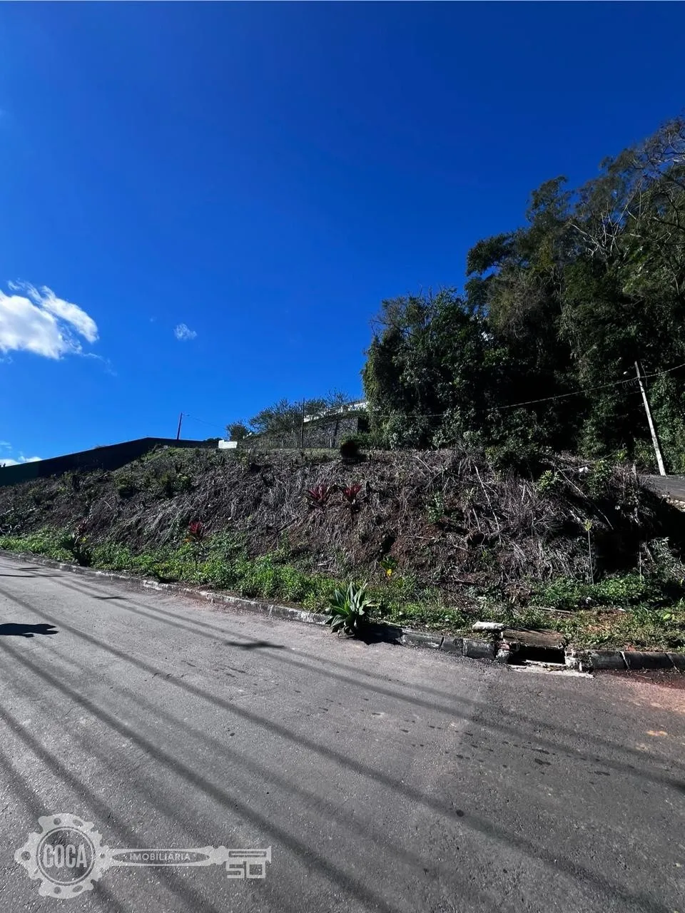 Terreno Residencial na Itoupava Seca - foto 1