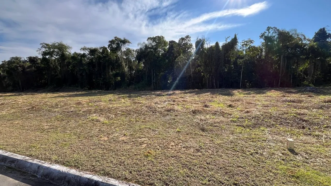 Terreno de 15 de frente — foto 7