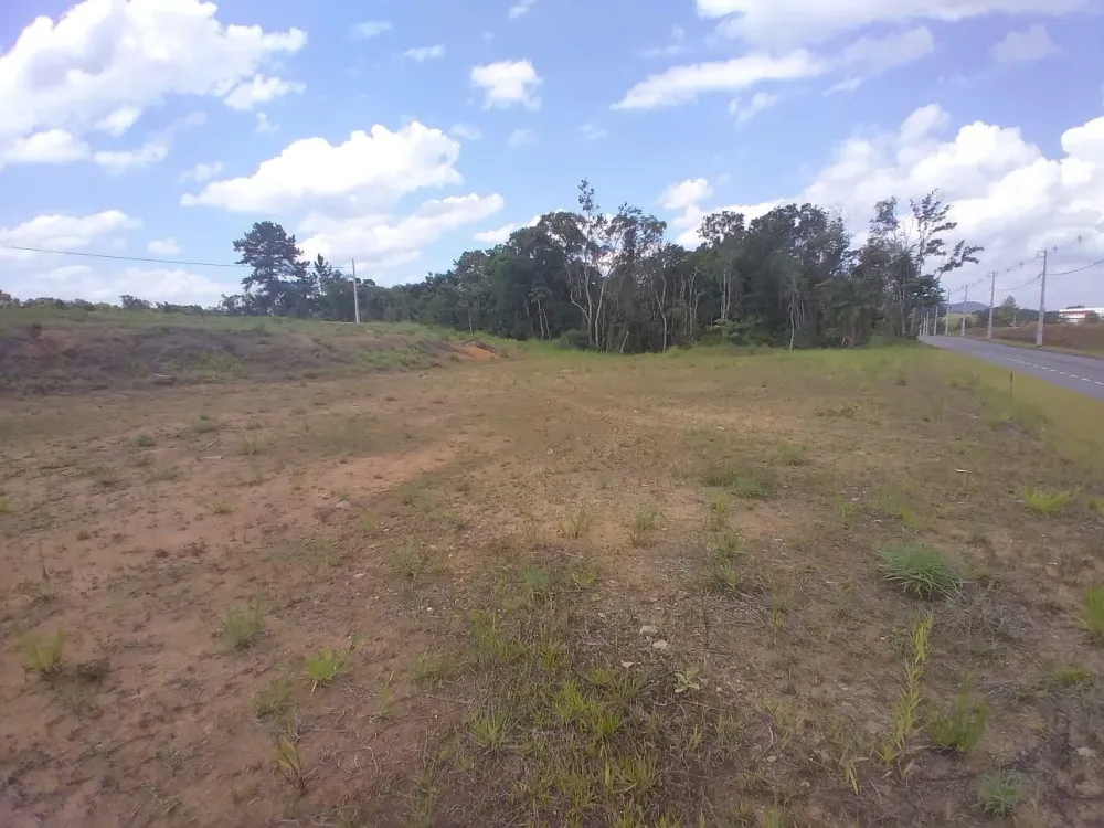 TERRENO RESIDENCIAL - BENEDITO - INDAIAL - foto 1
