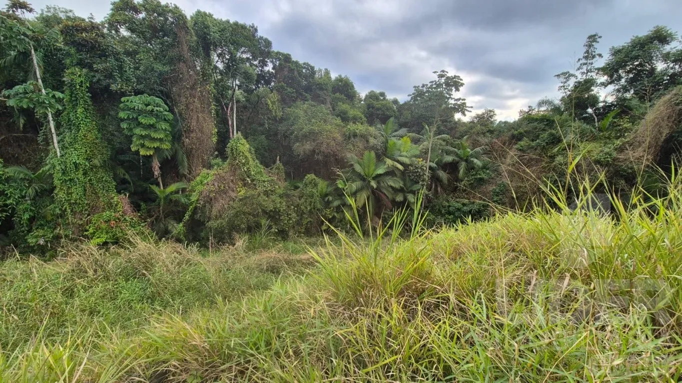 Terreno com 943,72m no bairro João Paulo II — foto 7