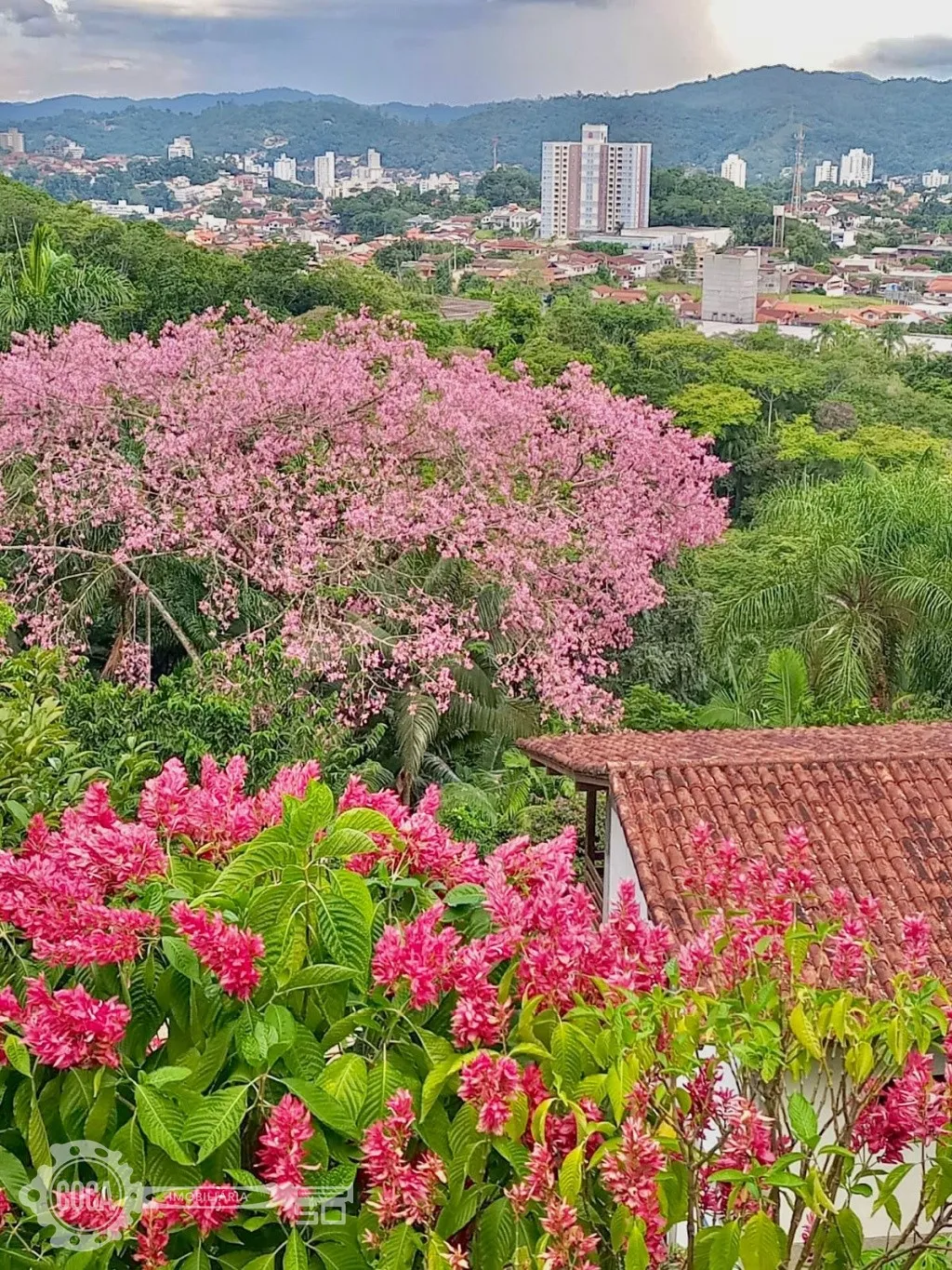 Ampla Casa à Venda no Bairro Água Verde — foto 5