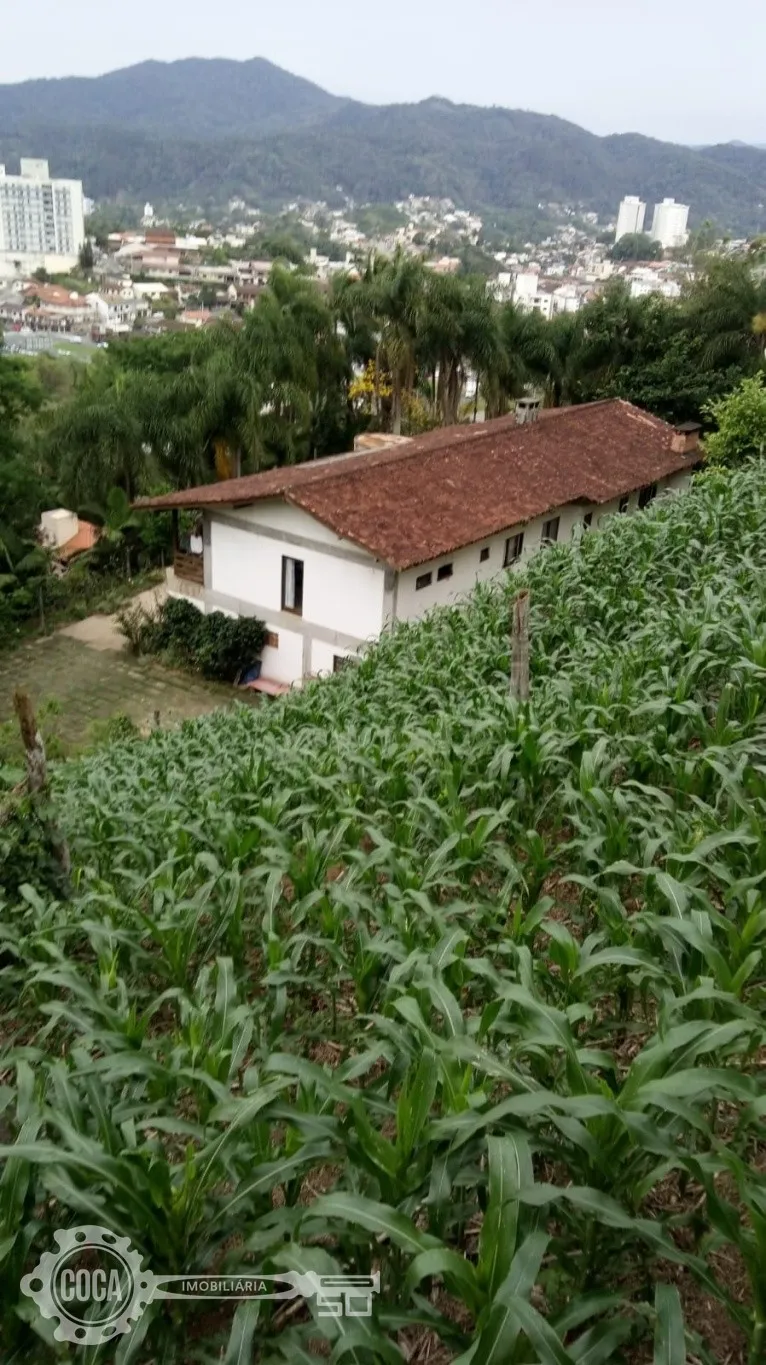Ampla Casa à Venda no Bairro Água Verde — foto 6