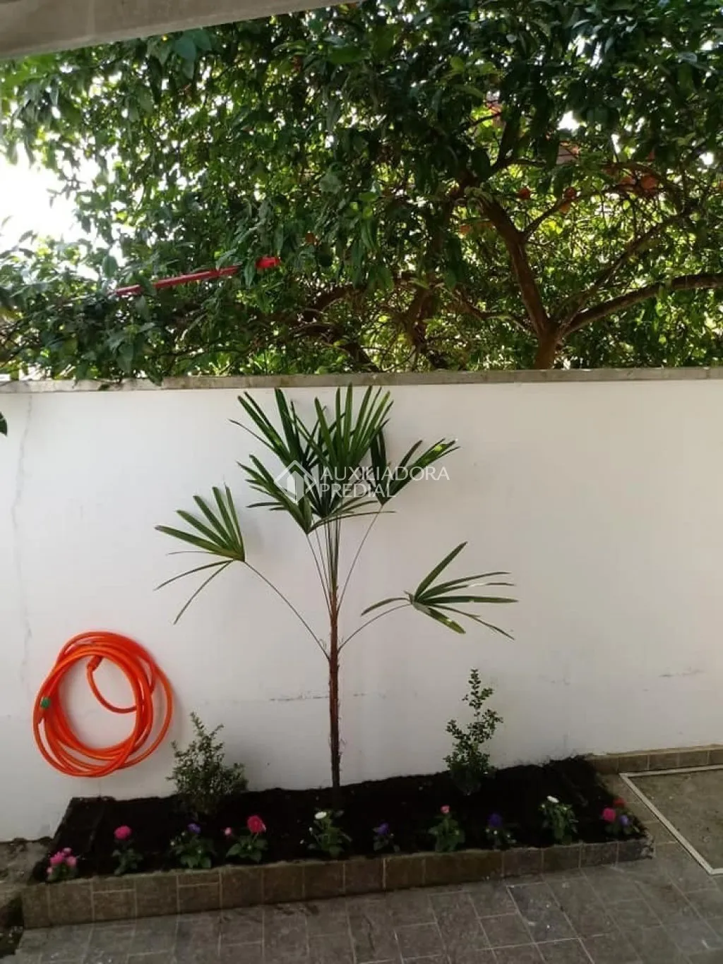 Apartamentos em Itapema — foto 5