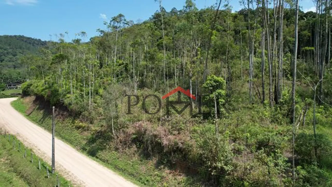 Excelente terreno com 13.669,00 m, a 200 metros da rodovia que liga Blumenau a Pomerode. — foto 4