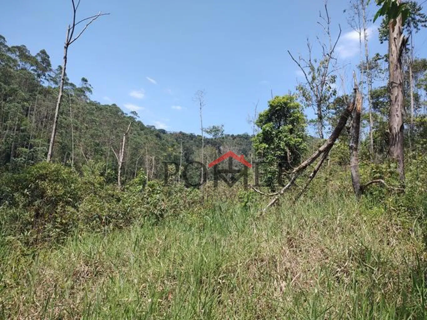 Excelente terreno com 13.669,00 m, a 200 metros da rodovia que liga Blumenau a Pomerode. — foto 6