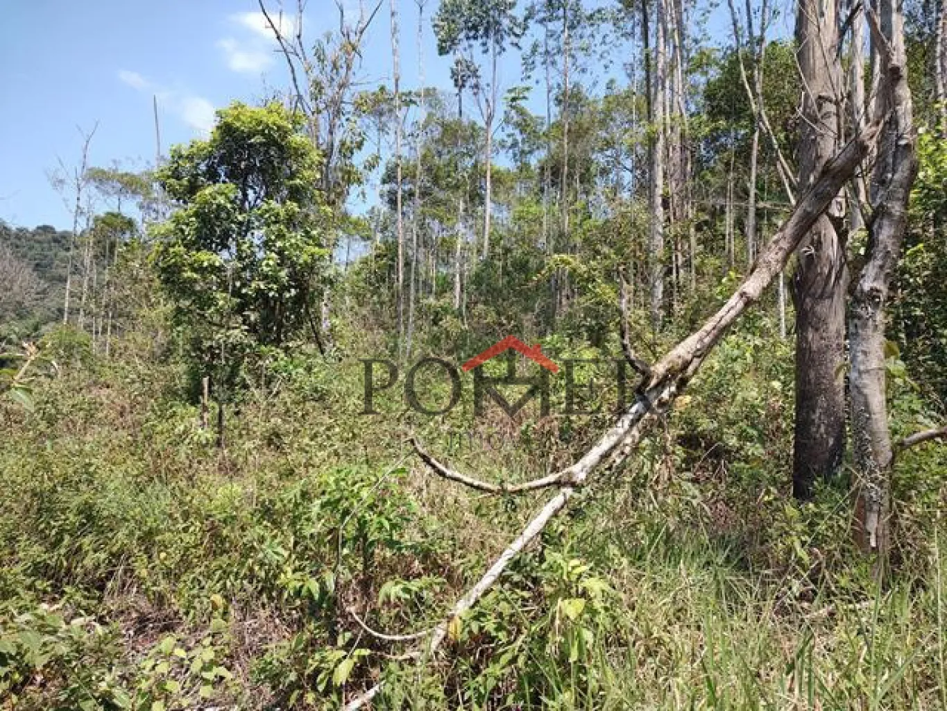 Excelente terreno com 13.669,00 m, a 200 metros da rodovia que liga Blumenau a Pomerode. — foto 7