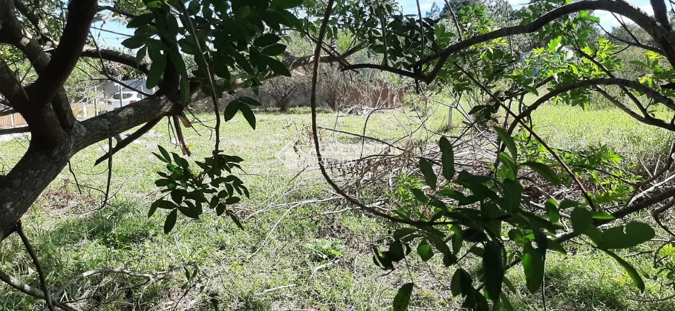 Imóvel — foto 6