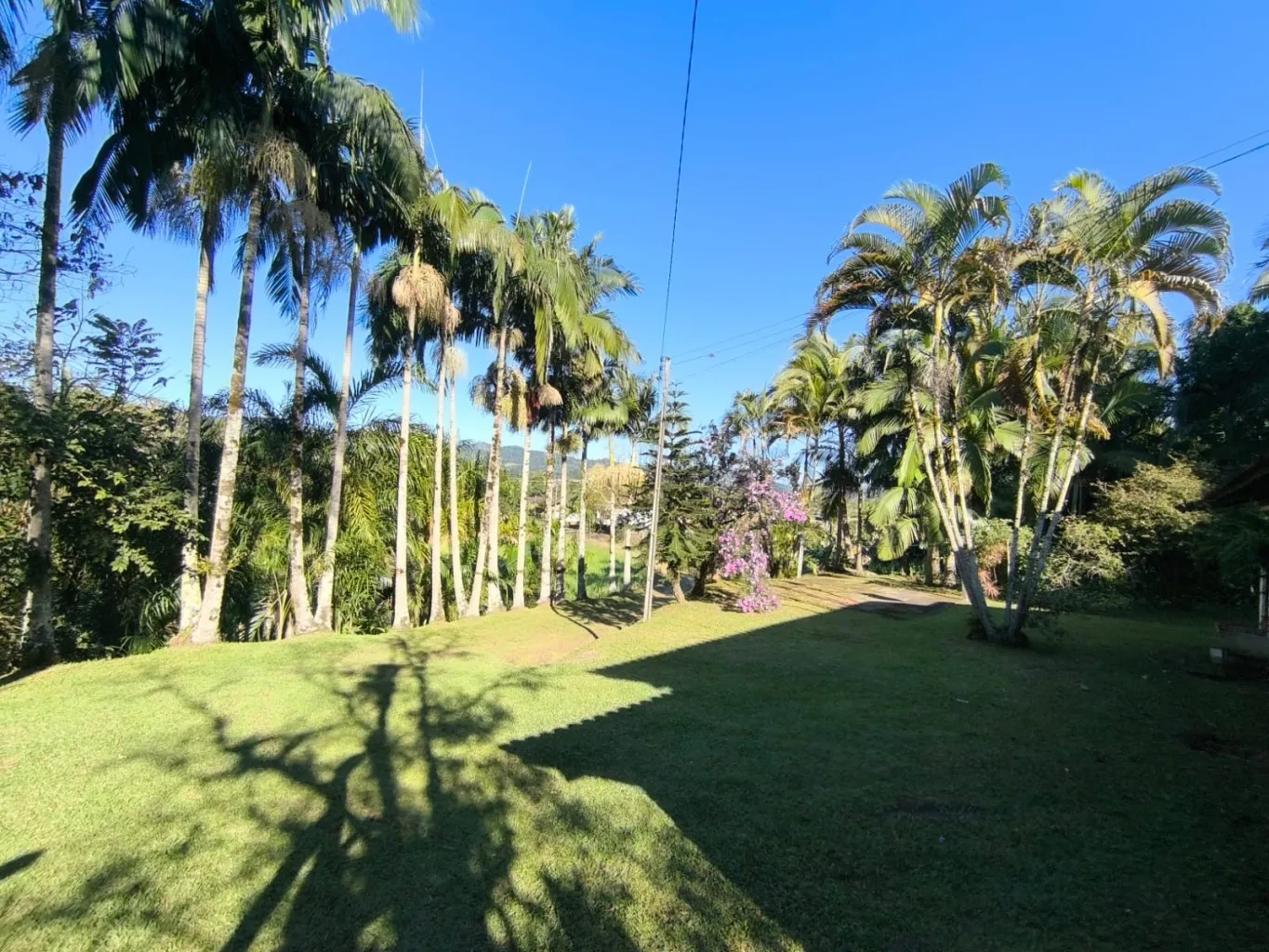 Terreno Industrial com casa - Rio Morto em Indaial — foto 4