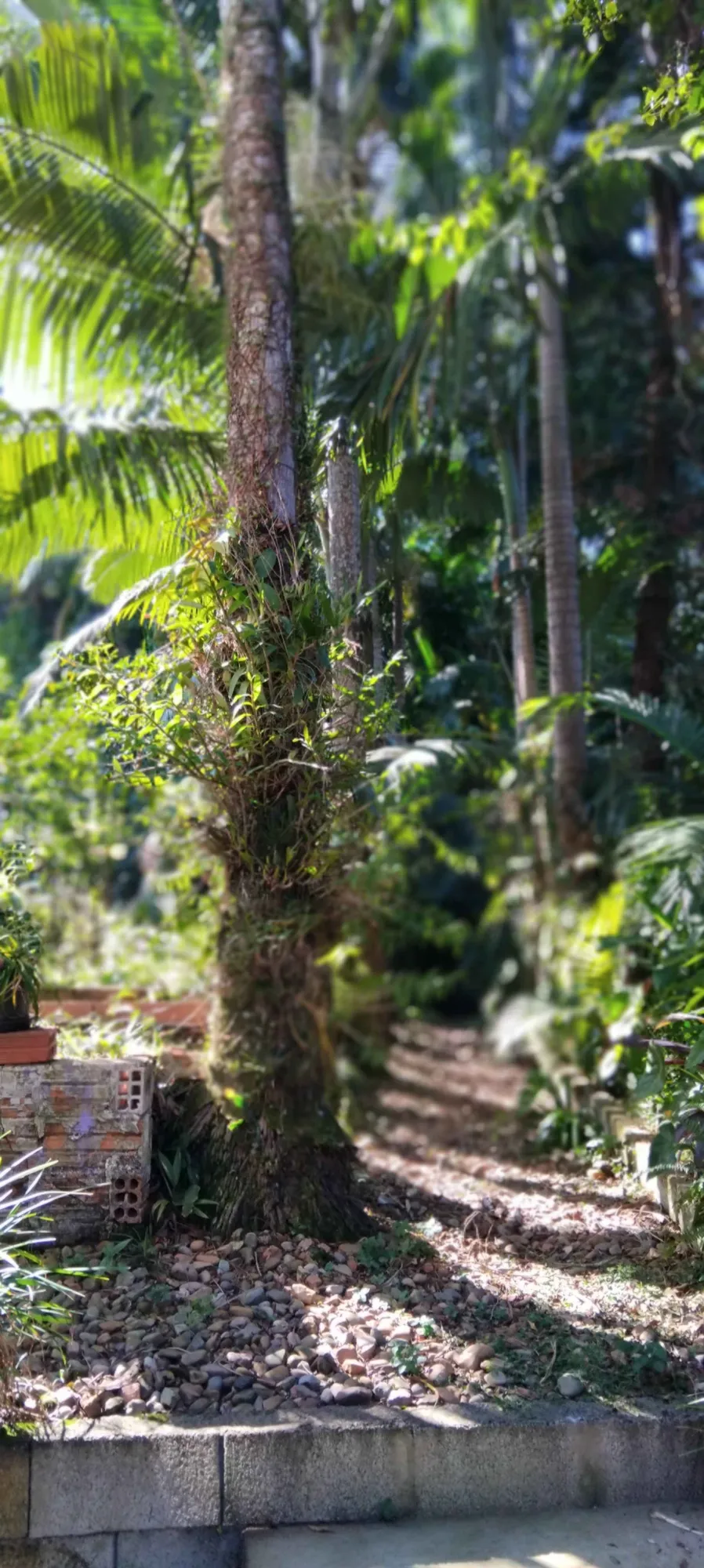 2 casas com 3 e 2 dormitórios com ampla área verde e salões de festas. — foto 6