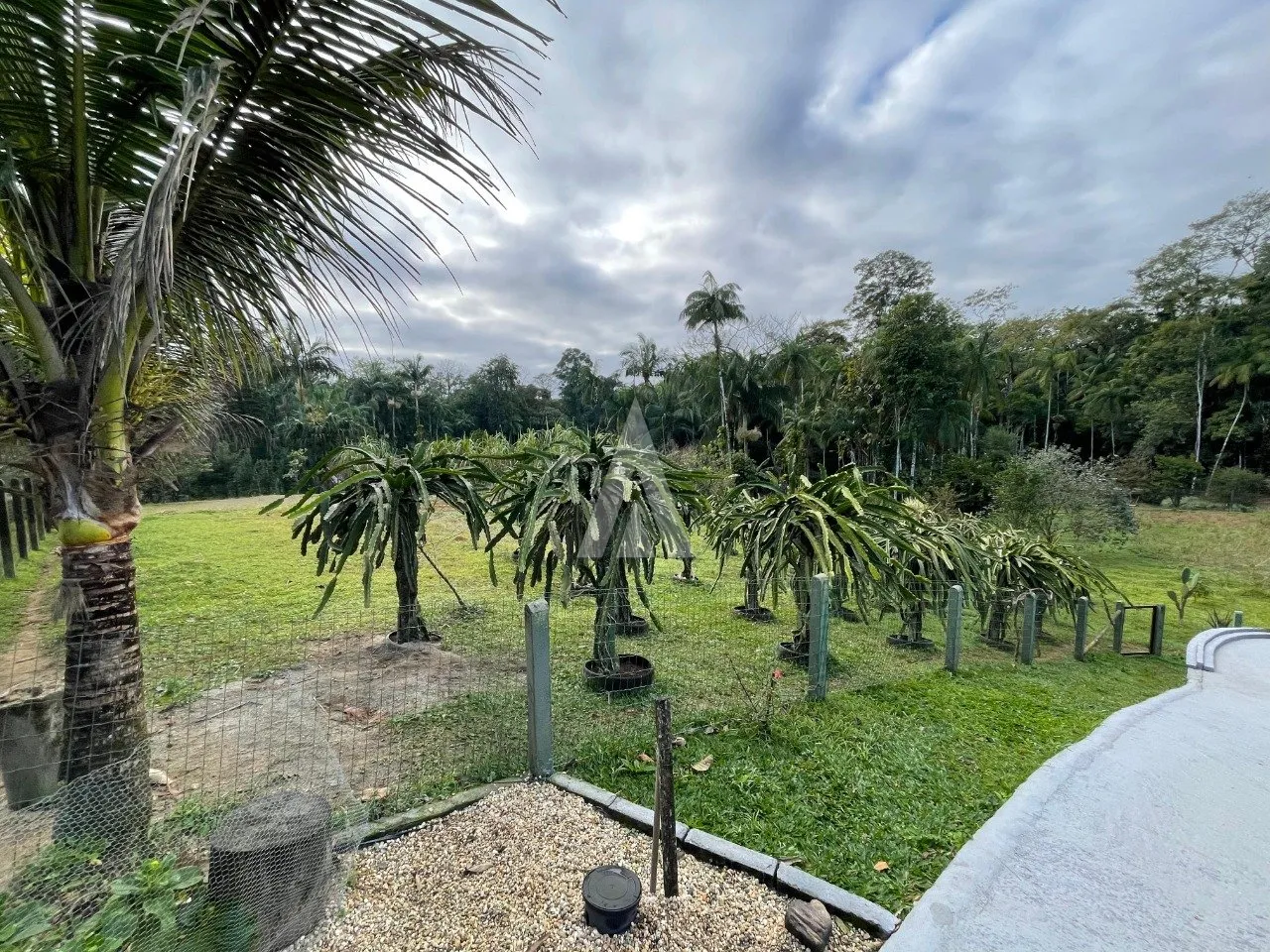 Imóvel Rural à venda com 3 quartos, 2 vagas, 20539m² na região do bairro Pirabeiraba, próximo à Rodovia Vereador Arno Krelling, Joinville — foto 4