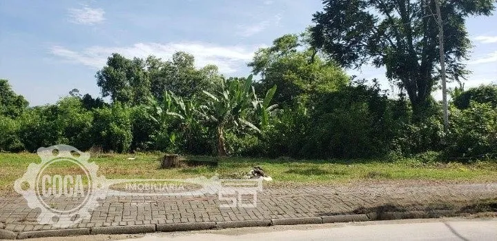 Terreno na Itoupava Central — foto 5