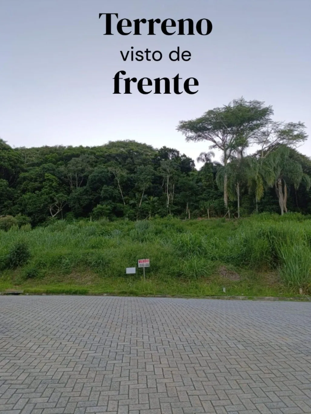 Imóvel — foto 7