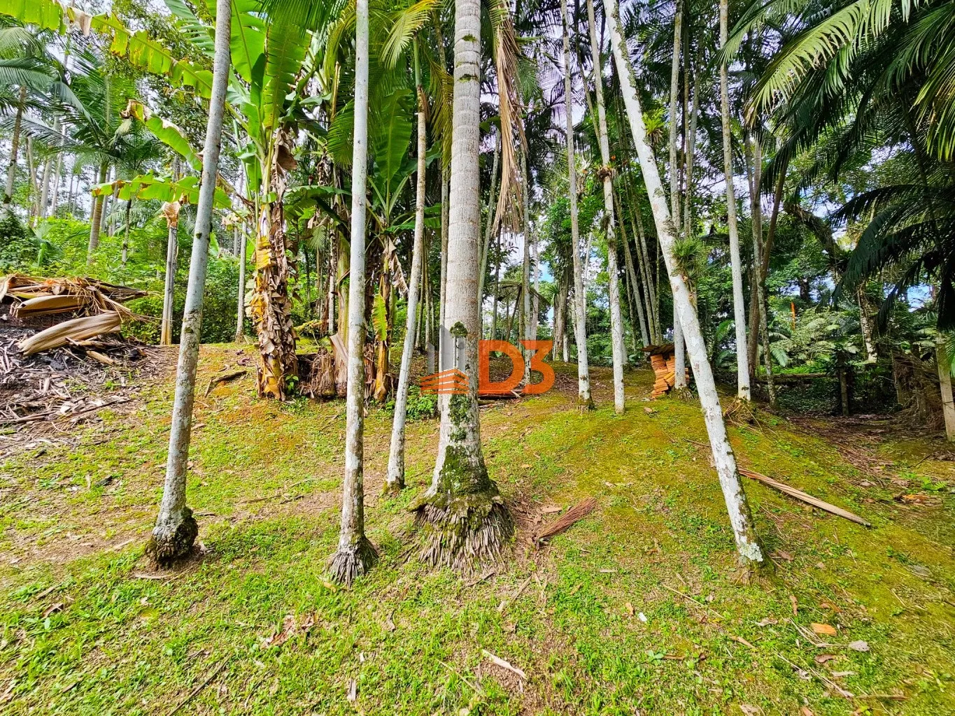 Amplo terreno com mais de 900m na Itoupava Central — foto 4