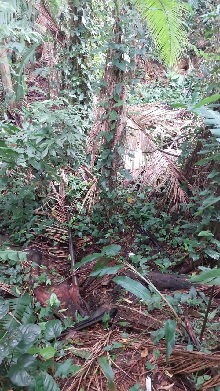 Oportunidade Única para Negócios na Rua Alexandre Buerger, Centro, Pomerode — foto 3