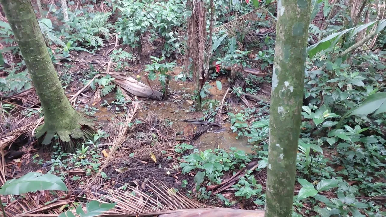 Oportunidade Única para Negócios na Rua Alexandre Buerger, Centro, Pomerode — foto 4
