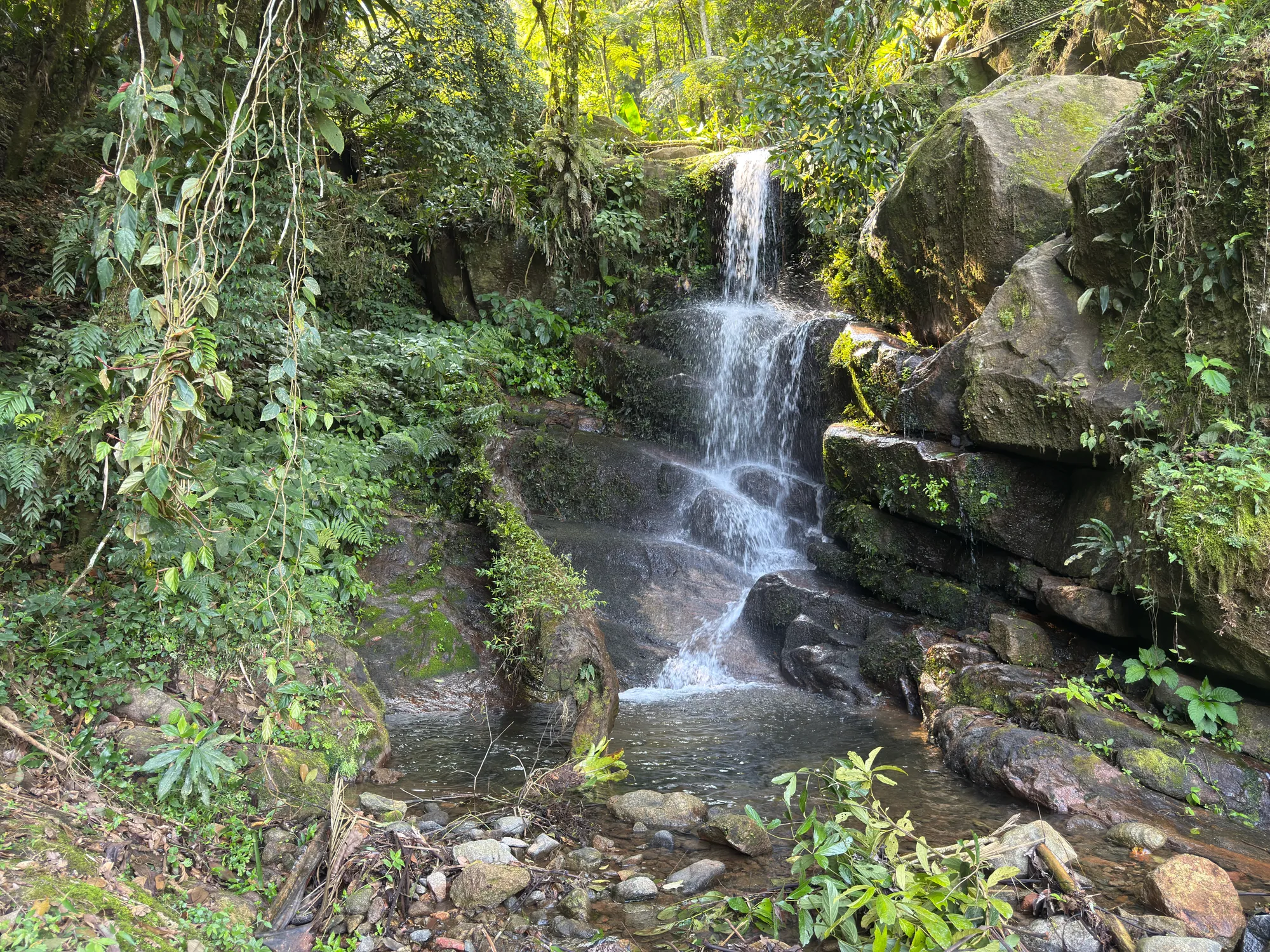 Sítio Cantinho do Sossego — foto 2