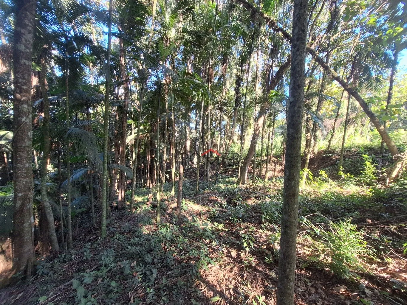 Terrenos em rua alta e tranquila, sem saída, no Bairro de Testo Rega na cidade de Pomerode com 500,00m, fazendo frente em 20,00 metros. — foto 4