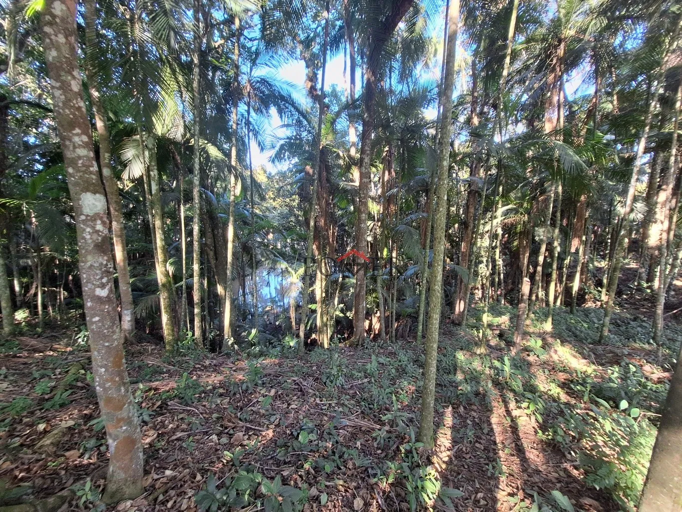 Terrenos em rua alta e tranquila, sem saída, no Bairro de Testo Rega na cidade de Pomerode com 500,00m, fazendo frente em 20,00 metros. — foto 5