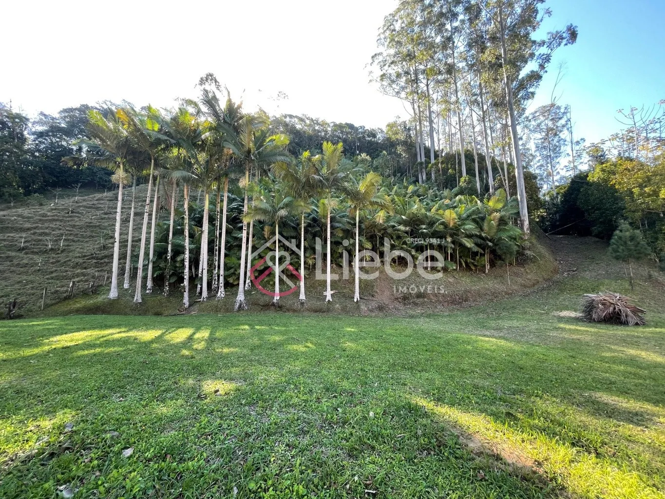 Oportunidade de Terreno com 17.158,99m no Bairro Pomerode Fundos em Pomerode com uma vista linda e 99,50 metros de frente. — foto 3