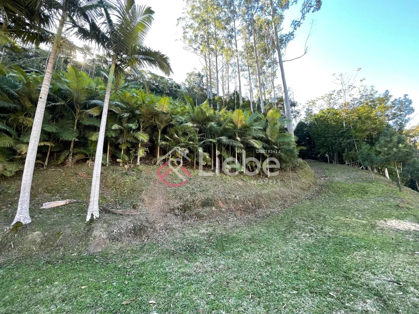 Oportunidade de Terreno com 17.158,99m no Bairro Pomerode Fundos em Pomerode com uma vista linda e 99,50 metros de frente. — foto 4