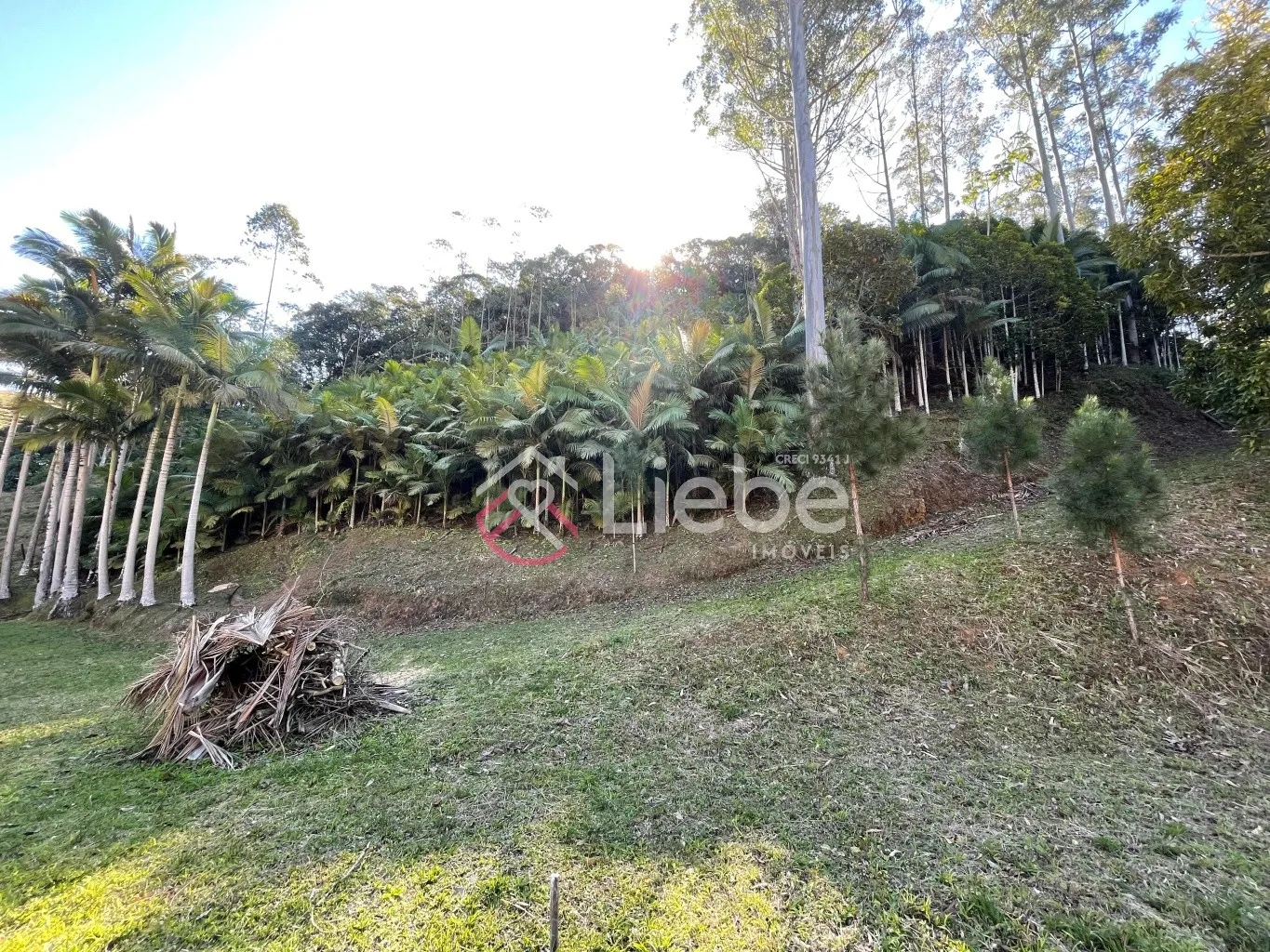 Oportunidade de Terreno com 17.158,99m no Bairro Pomerode Fundos em Pomerode com uma vista linda e 99,50 metros de frente. — foto 5