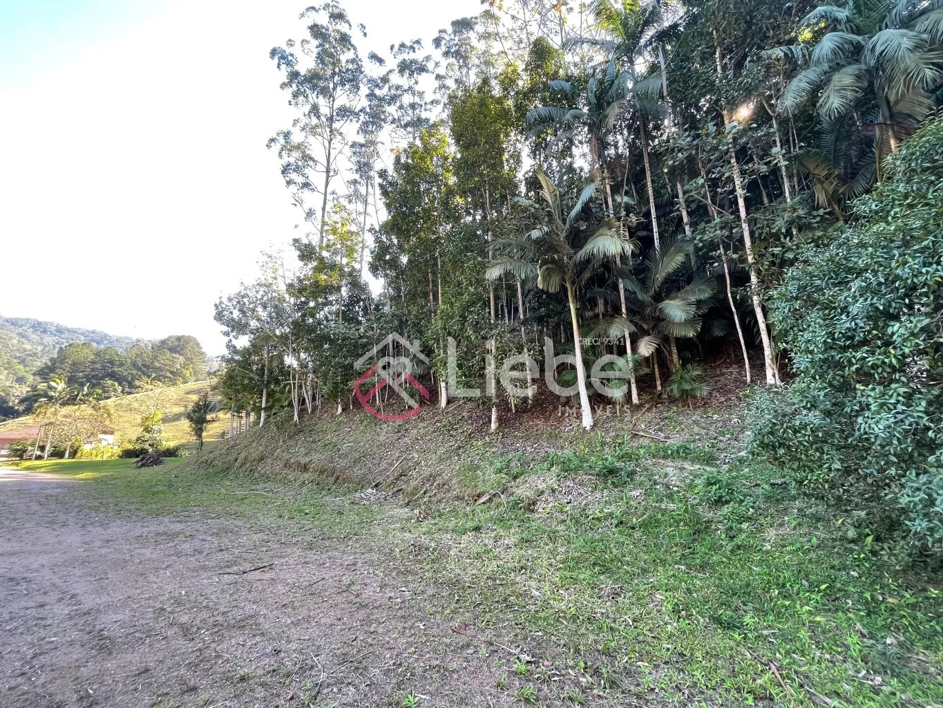 Oportunidade de Terreno com 17.158,99m no Bairro Pomerode Fundos em Pomerode com uma vista linda e 99,50 metros de frente. — foto 6