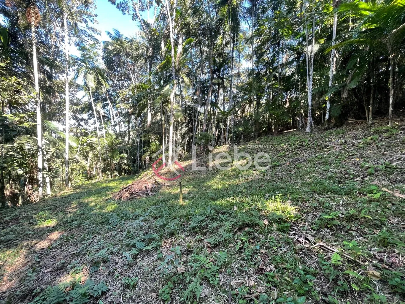 Oportunidade de Terreno com 17.158,99m no Bairro Pomerode Fundos em Pomerode com uma vista linda e 99,50 metros de frente. — foto 7