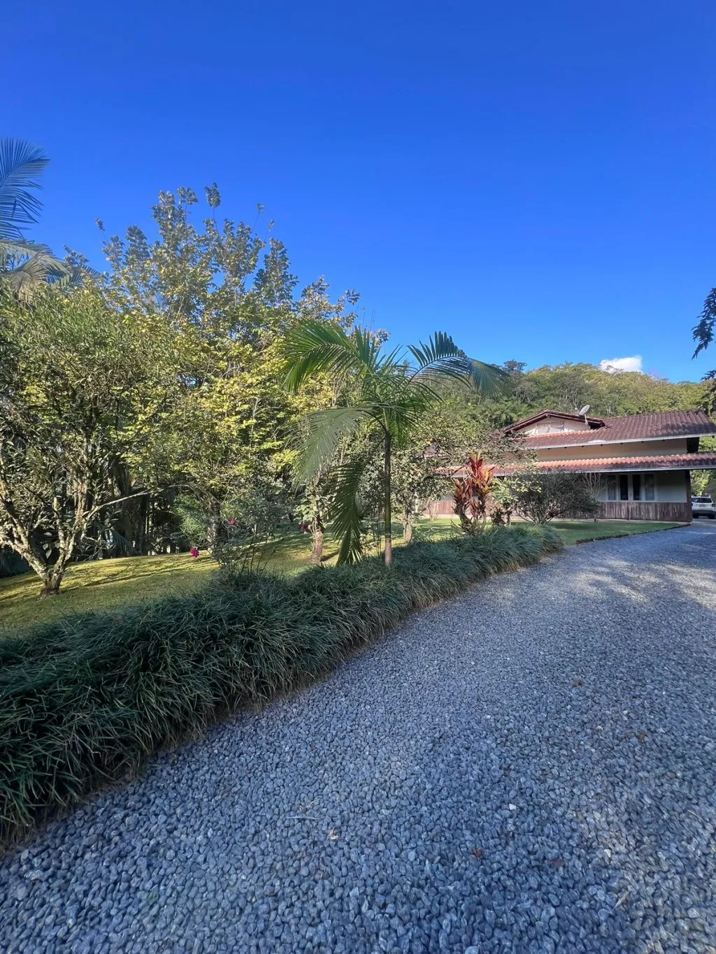 Sitio a venda - Vila Itoupava Blumenau sc - foto 1