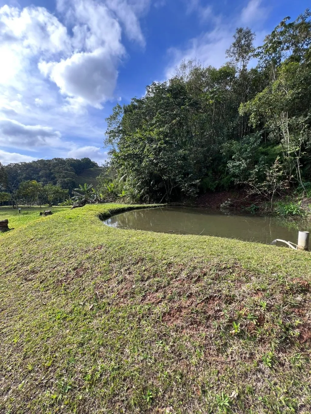 SITIO A VENDA - BLUMENAU/VILA ITOUPAVA — foto 7