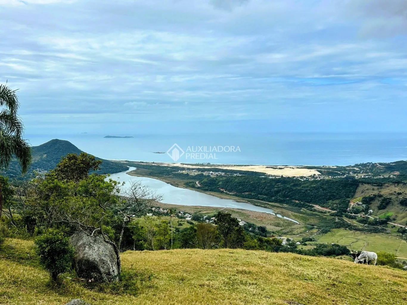 Imóvel - foto 1