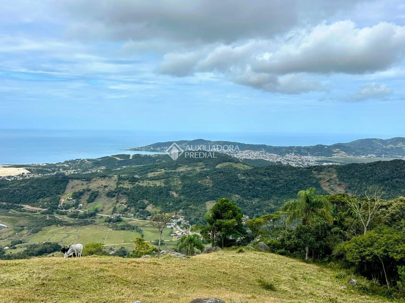 Imóvel — foto 4