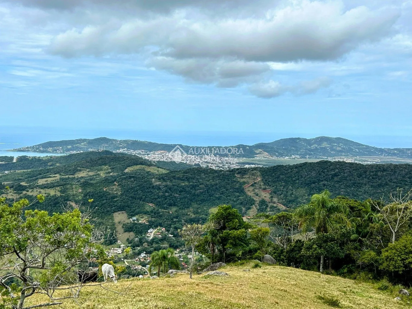 Imóvel — foto 5