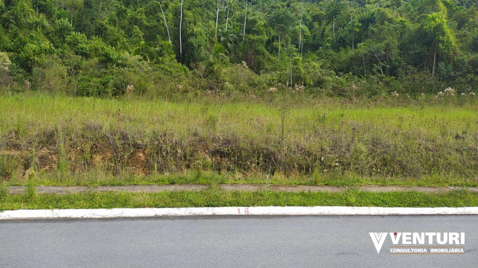 Terreno à venda, 420 m por R$ 250.000,00 - Velha Central - Blumenau/SC — foto 2