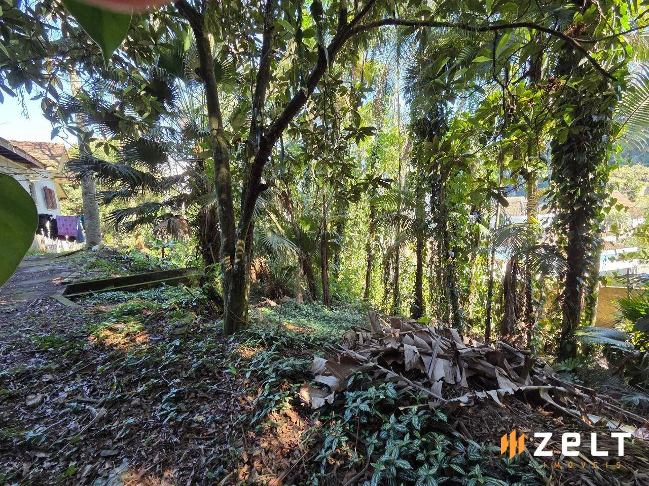 Terreno à venda, 1380 m por R$ 1.800.000,00 - Victor Konder - Blumenau/SC — foto 5
