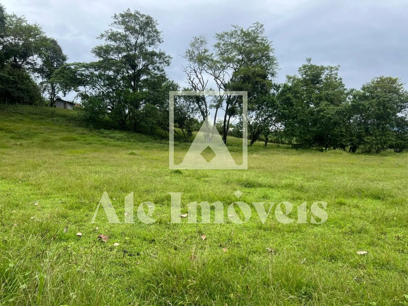 TERRENO POMERODE - foto 1