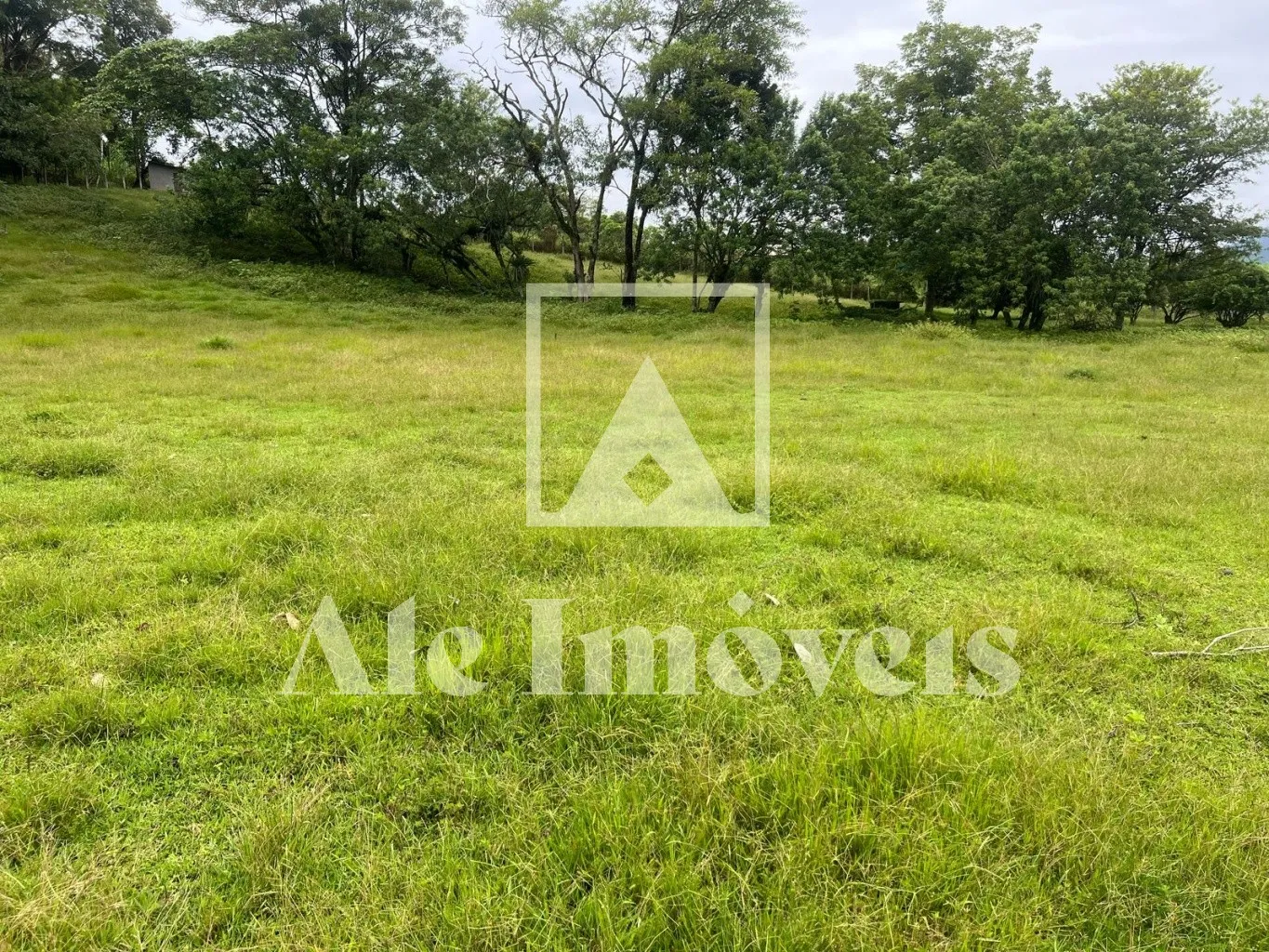 TERRENO POMERODE — foto 3