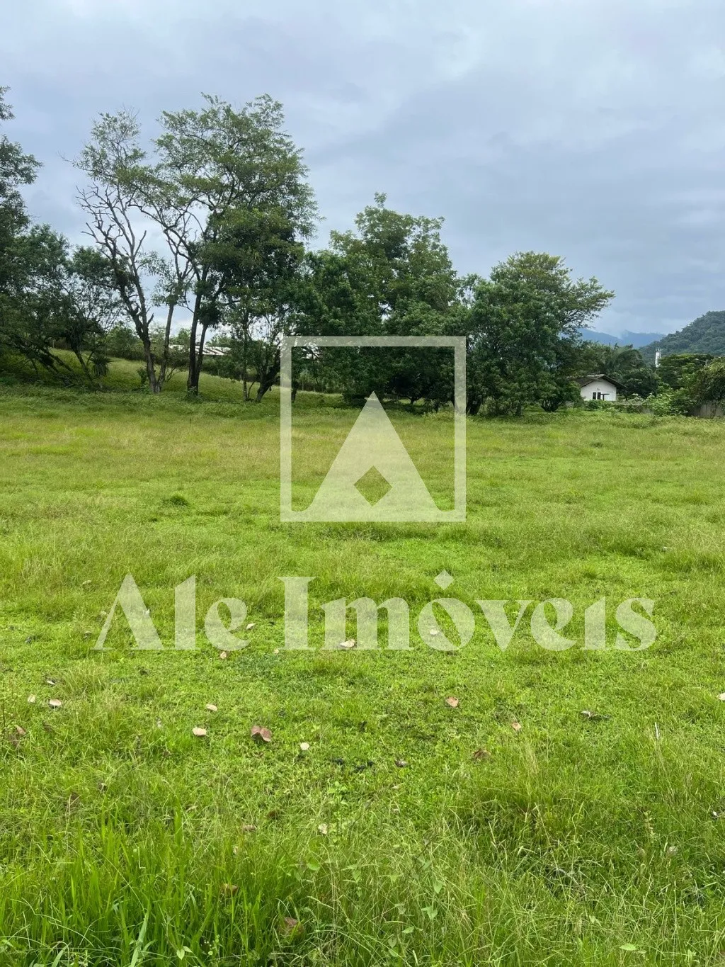 TERRENO POMERODE — foto 4