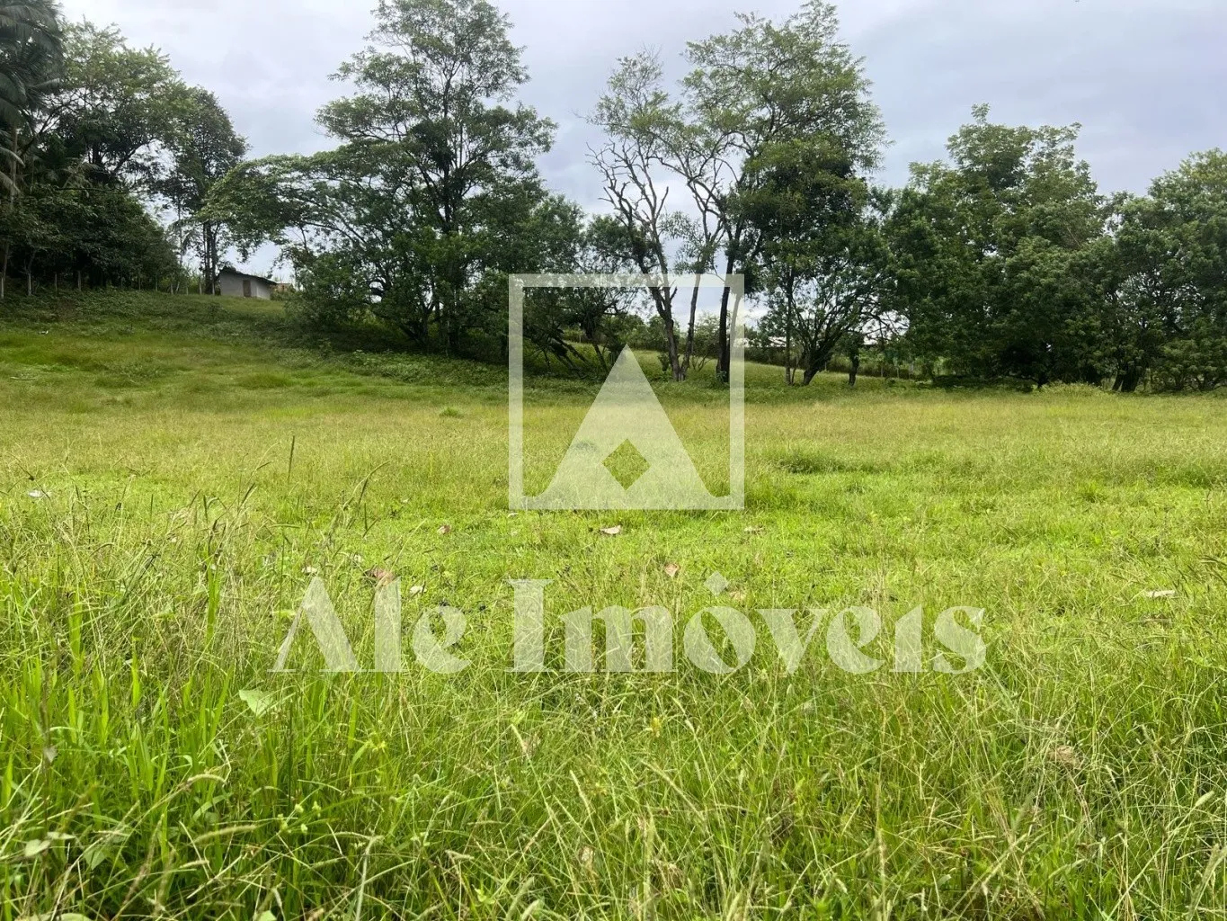 TERRENO POMERODE — foto 5