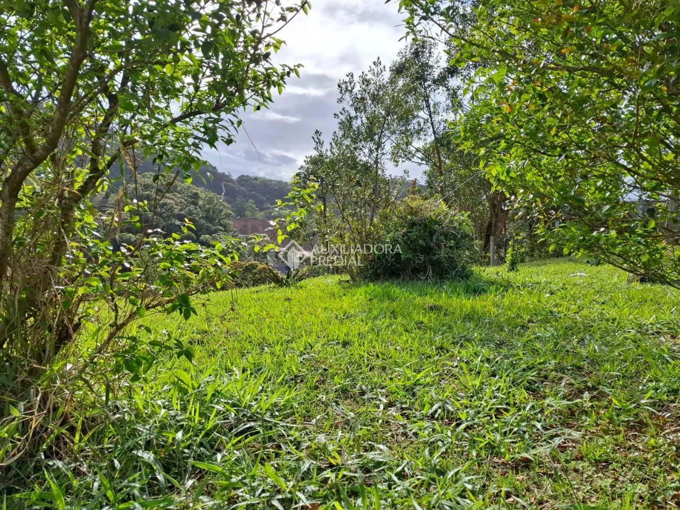 Imóvel - foto 1